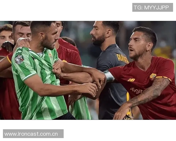 马洛塔分析意甲海外赛的挑战与经济影响的重要性